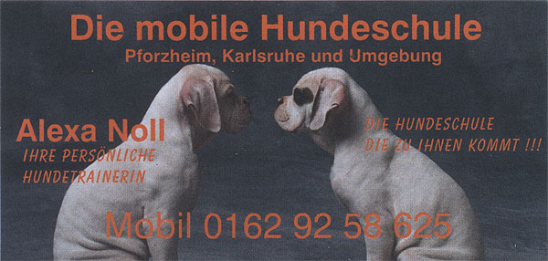 Schnupperstunde in der mobilen Hundeschule