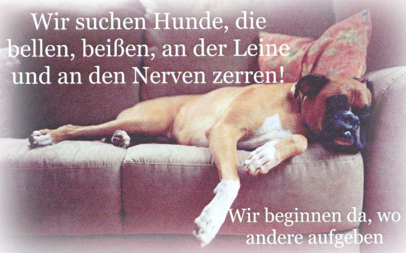 Hundeschule Enzkreis, Alexa Noll