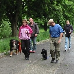 testen Sie die etwas andere Hundeschule und nutzen Sie unser Angebot