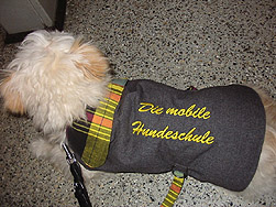 Hundeschule Pforzheim & Umgebung