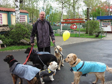 Hundetraining Pforzheim, Karlsruhe, Enzkreis