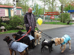 Aufmerksamkeits- und Bindungstraining fr den Hund